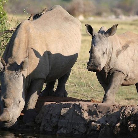 Jamala Madikwe Royal Safari Lodge Mochudi Εξωτερικό φωτογραφία